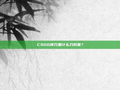 CSGO拼刀里什么刀厉害？