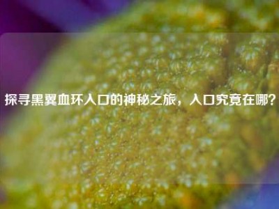 探寻黑翼血环入口的神秘之旅，入口究竟在哪？