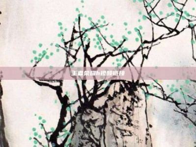 王者荣耀h视频链接