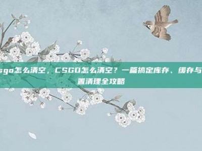 csgo怎么清空，CSGO怎么清空？一篇搞定库存、缓存与设置清理全攻略