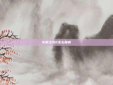 火炬之光2怎么联机