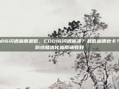 cod16闪退画质最低，COD16闪退崩溃？最低画质也卡？这份终极优化指南请收好