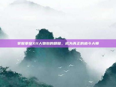 掌握拳皇XII人物包的精髓，成为真正的格斗大师