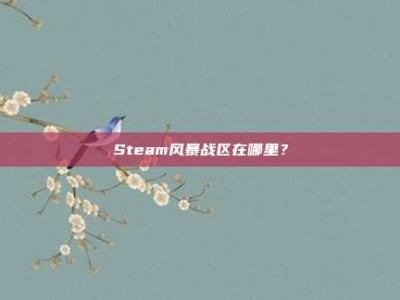 Steam风暴战区在哪里？