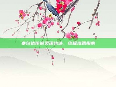 塞尔达传说灵魂轨迹，终极攻略指南