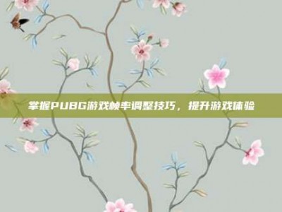掌握PUBG游戏帧率调整技巧，提升游戏体验