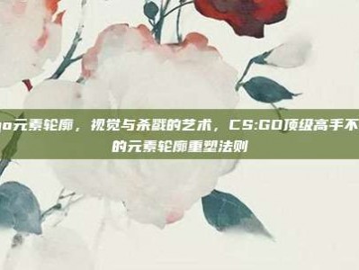 csgo元素轮廓，视觉与杀戮的艺术，CS:GO顶级高手不外传的元素轮廓重塑法则