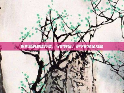 保护肺的最佳方法，守护呼吸，科学护肺全攻略