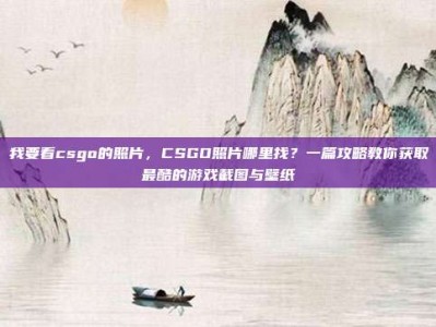 我要看csgo的照片，CSGO照片哪里找？一篇攻略教你获取最酷的游戏截图与壁纸