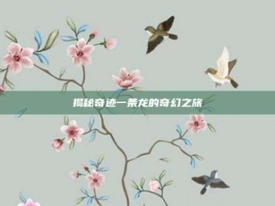 揭秘奇迹一条龙的奇幻之旅