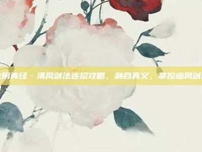 九阴真经·清风剑法连招攻略，融合真义，掌控幽风剑道
