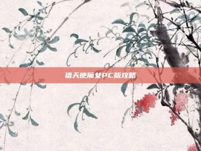 猎天使魔女PC版攻略