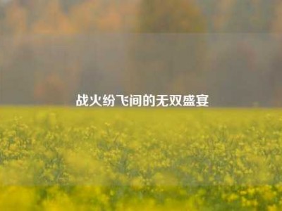 战火纷飞间的无双盛宴