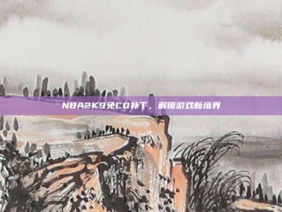 NBA2K9免CD补丁，解锁游戏新境界