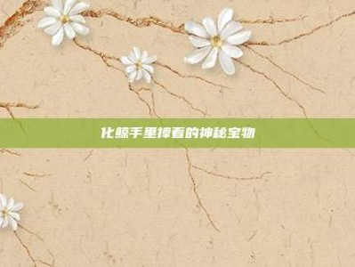 化鲸手里捧着的神秘宝物