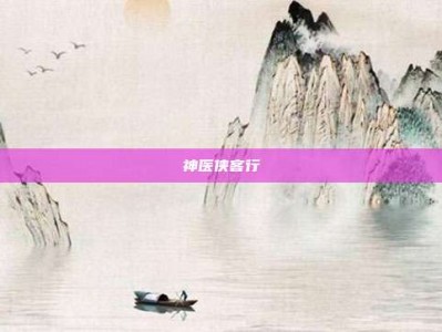 神医侠客行