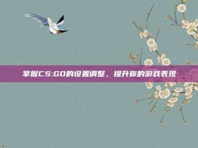 掌握CS:GO的设置调整，提升你的游戏表现