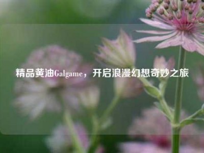 精品黄油Galgame，开启浪漫幻想奇妙之旅