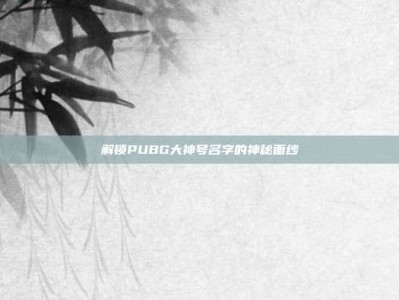 解锁PUBG大神号名字的神秘面纱