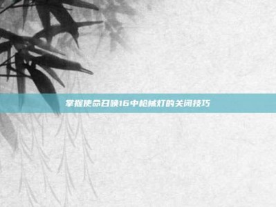 掌握使命召唤16中枪械灯的关闭技巧