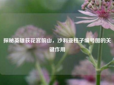 探秘英雄荻花宫前山，沙利亚柱子编号图的关键作用
