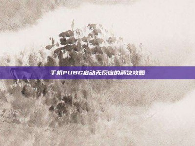 手机PUBG启动无反应的解决攻略
