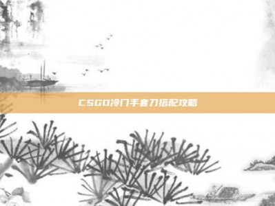 CSGO冷门手套刀搭配攻略