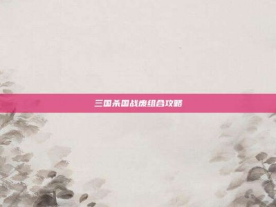 三国杀国战废组合攻略