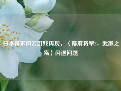 日本幕末风云游戏再现，〈幕府将军2，武家之殇〉闪退问题