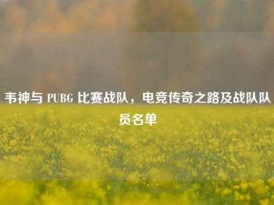 韦神与 PUBG 比赛战队，电竞传奇之路及战队队员名单