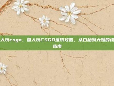 国人玩csgo，国人玩CSGO进阶攻略，从白给到大腿的终极指南