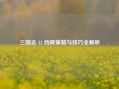 三国志 12 劝降策略与技巧全解析