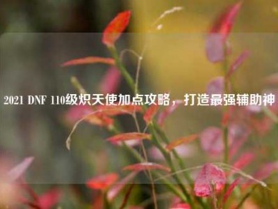 2021 DNF 110级炽天使加点攻略，打造最强辅助神