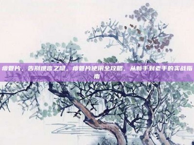 瘘管片，告别难言之隐，瘘管片使用全攻略，从新手到老手的实战指南