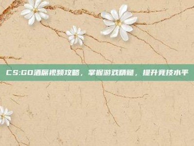 CS:GO酒席视频攻略，掌握游戏精髓，提升竞技水平