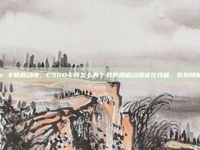 csgo 卡顿启动项，CSGO卡顿怎么办？教你用启动项优化性能，告别掉帧卡顿