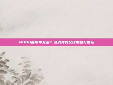 PUBG能取中文名？游戏界的文化融合与创新