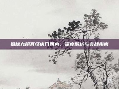 揭秘九阴真经唐门四内，深度解析与实战指南