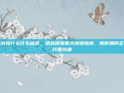 逆战按什么什么说话，逆战语音聊天按键指南，教你如何正确开麦沟通