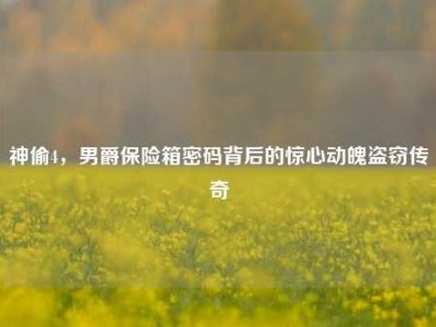 神偷4，男爵保险箱密码背后的惊心动魄盗窃传奇