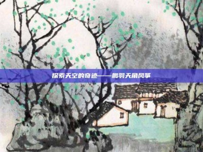 探索天空的奇迹——鹏羽天角风筝
