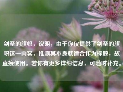 剑圣的旗帜，说明，由于你仅提供了剑圣的旗帜这一内容，推测其本身就适合作为标题，故直接使用。若你有更多详细信息，可随时补充。