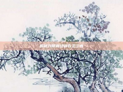 揭秘九阴真经锦衣卫三内