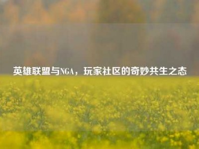 英雄联盟与NGA，玩家社区的奇妙共生之态