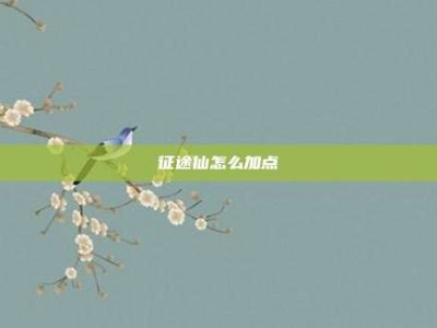 征途仙怎么加点