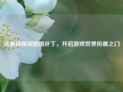 流星蝴蝶剑地图补丁，开启游戏世界拓展之门