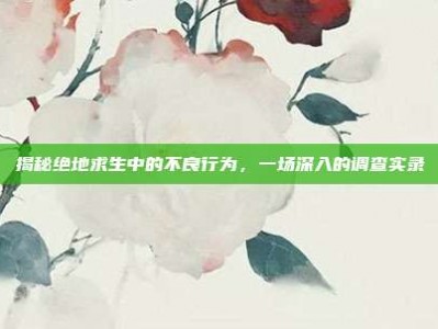 揭秘绝地求生中的不良行为，一场深入的调查实录