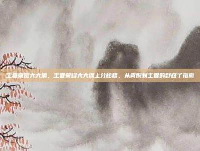 王者荣耀大大滴，王者荣耀大大滴上分秘籍，从青铜到王者的野路子指南