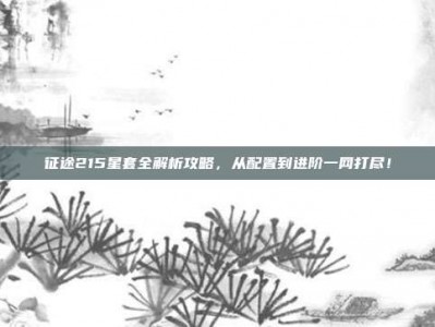 征途215星套全解析攻略，从配置到进阶一网打尽！