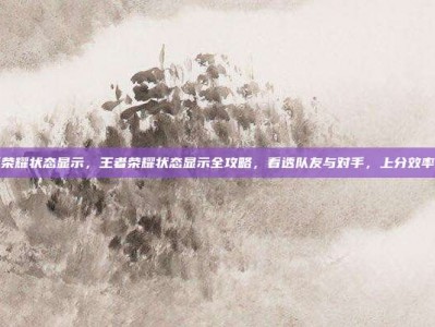 王者荣耀状态显示，王者荣耀状态显示全攻略，看透队友与对手，上分效率翻倍